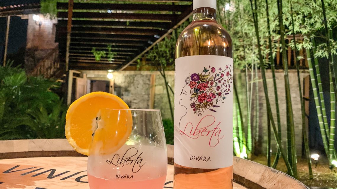 Vindima na Vinícola Lovara: Brinde das Estrelas