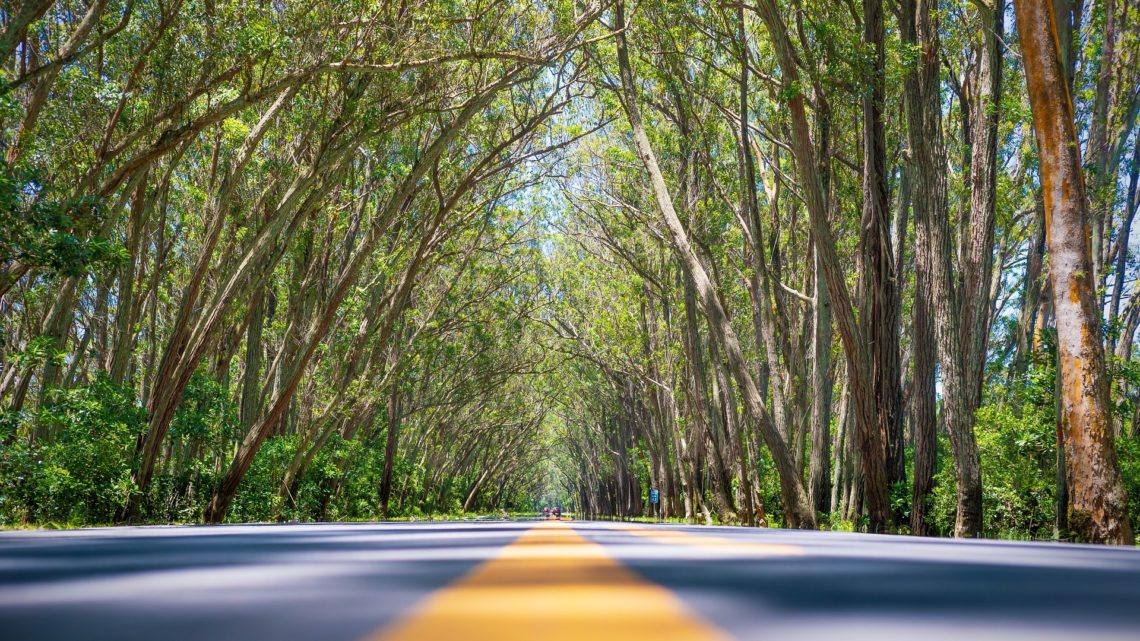 7 Destinos Imperdíveis no Sul do Brasil