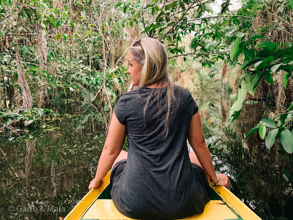 Uma jovem sai da floresta encantada