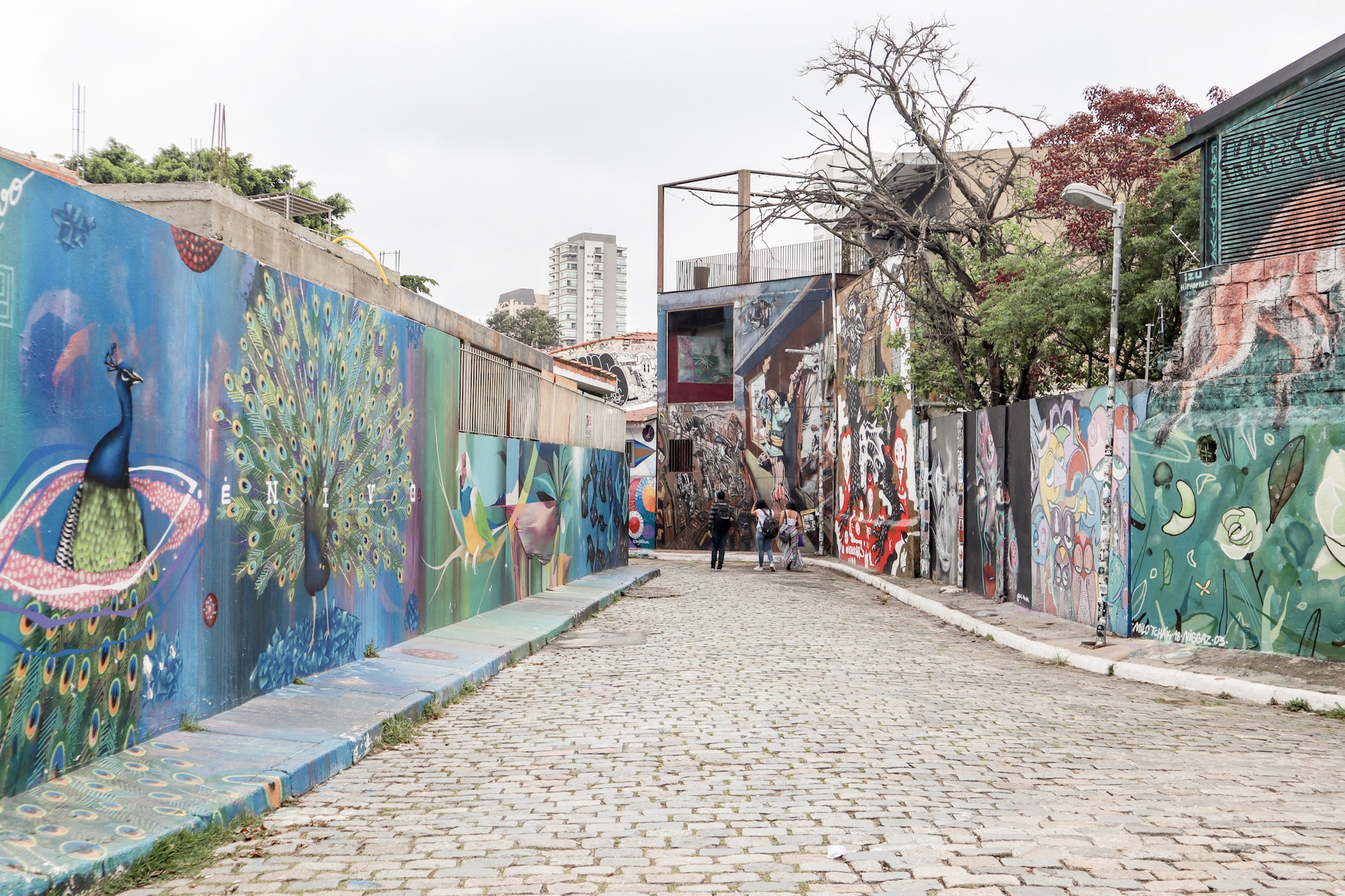 10 Passeios Em São Paulo Além Do Óbvio | Garfo & Mala